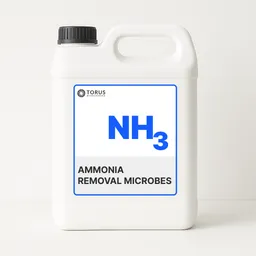 Ammonia Removal Microbes
