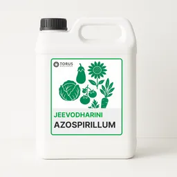 Azospirillum