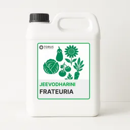 Frateuria