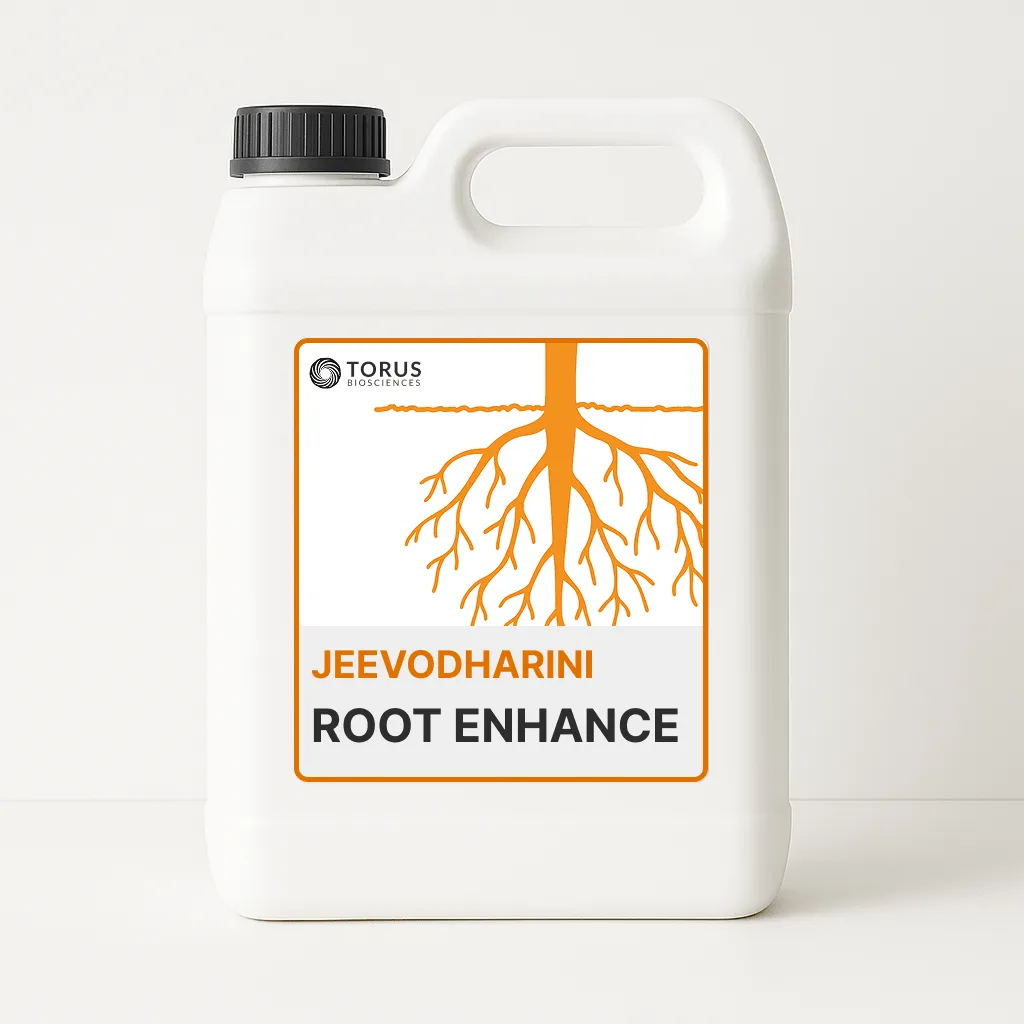 Jeevodharini Root Enhance