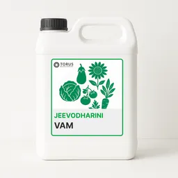 VAM