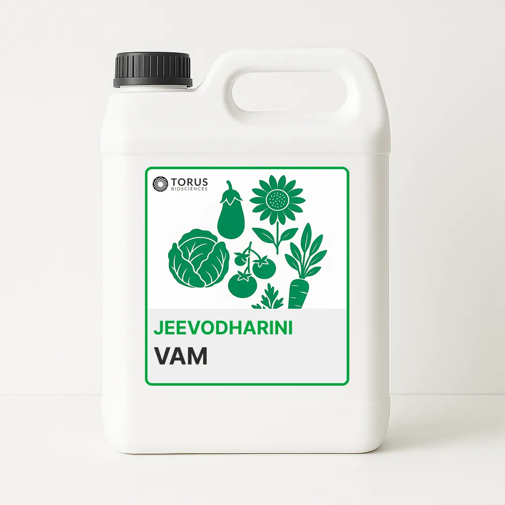 VAM
