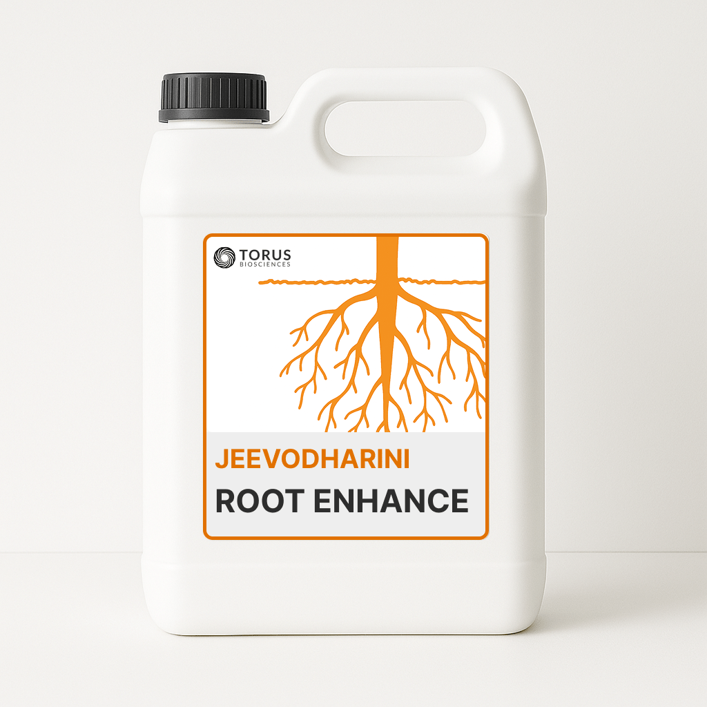 Jeevodharini Root Enhance
