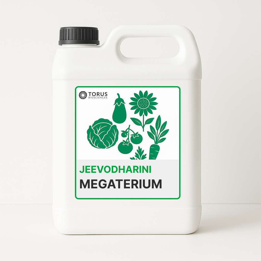 Megaterium