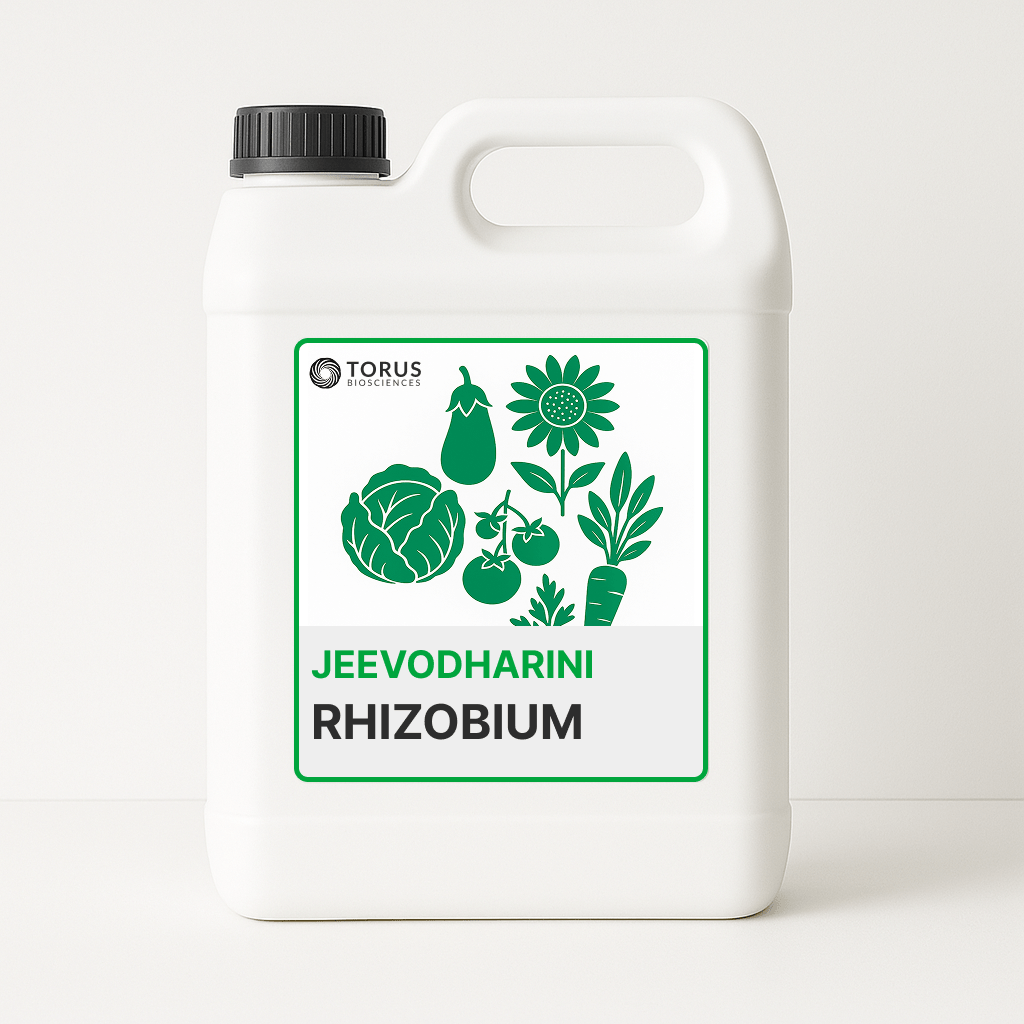 Rhizobium