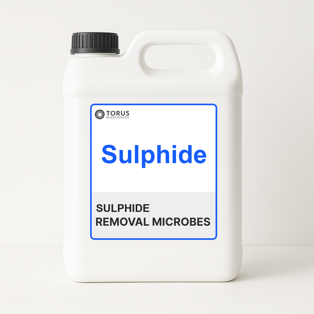 Sulphide Removal Microbes
